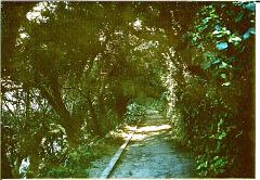 ORAN 1958 PROMENADE DE L ETANG